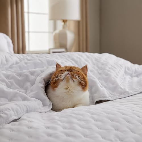 Bedsure Queen Size Lightweight Quilt Set - All-Season White Ultrasonic Coverlet
