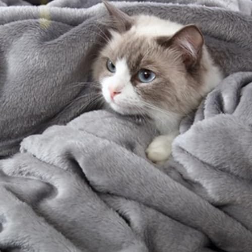 Hansleep Queen Grey Fleece Blanket 90x90 Inches Soft Microfiber Bed Throw