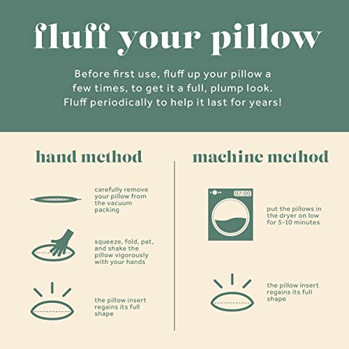 ComfyDown 22x22 Feather & Down Throw Pillow Insert, 100% Cotton Cover