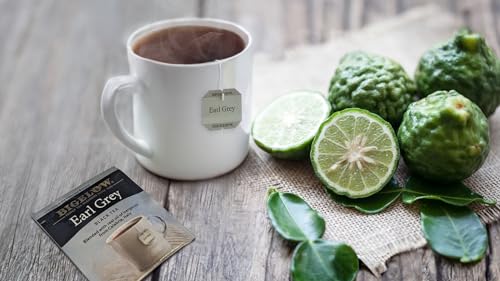 Earl Grey Caffeinated Black Tea Bags - Individually Wrapped (100 Count)