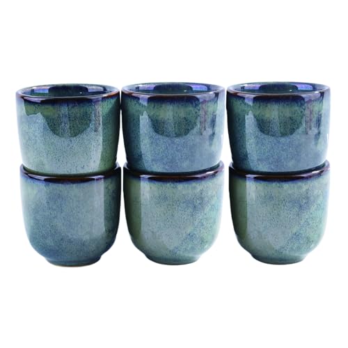 Ceramic Sake Cup Set - 6 Artisan Reactive Glazed Tea & Drinkware, 2-inch
