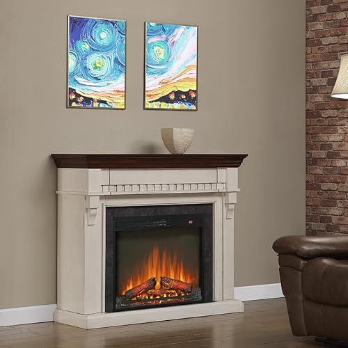 23-Inch Electric Fireplace Insert with Heater and Remote Control