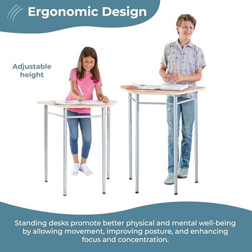 Adjustable Height Standing Desk for Kids and Adults - Birch Wood Tabletop