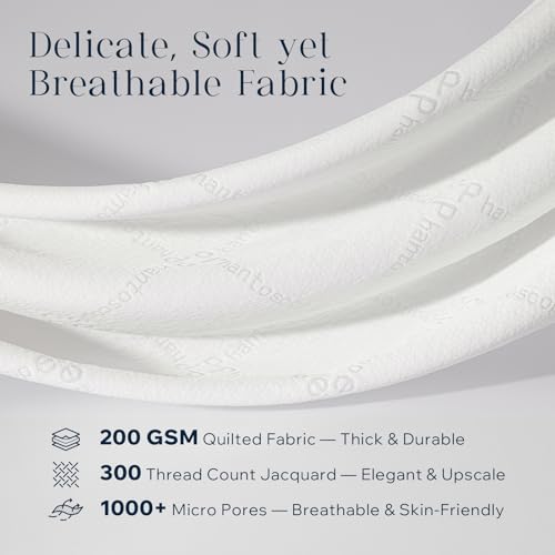 Phantoscope 18x18 Throw Pillow Insert - Soft Down Alternative Cushion Stuffer
