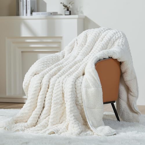 Weighted Blanket for Adults, 60x80 Inches, 15lbs - Soft Warm Sherpa Fleece