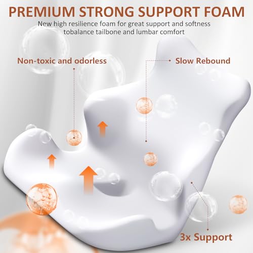 Lumbar Support Pillow and Seat Cushion for Office Chairs