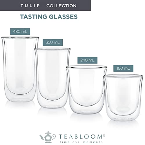 Double-Walled Insulated Glass Cups - 6 oz Borosilicate Set of Two