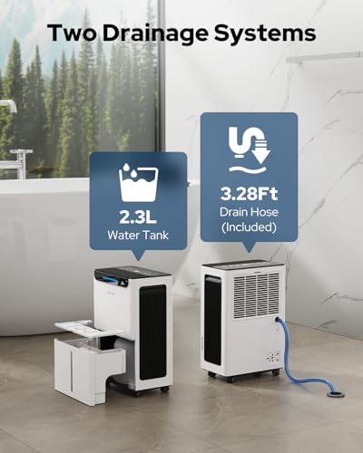 Compressor Dehumidifier for Basement 21 Pint/Day with Drain Hose