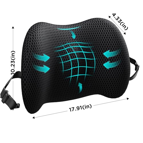 Ergonomic Lumbar Support Pillow with Memory Foam & 4D Mesh Cover