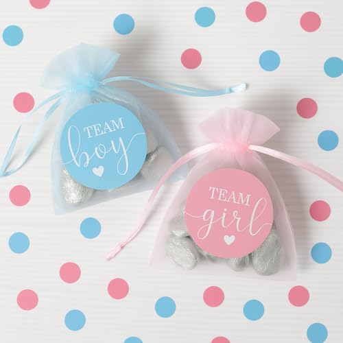 Pink & Blue Gender Reveal Stickers 40 Count – Team Boy & Girl Voting Decals for Party