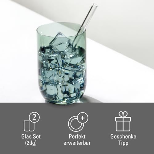 Villeroy & Boch Like Sage Highball/Tumbler Pair