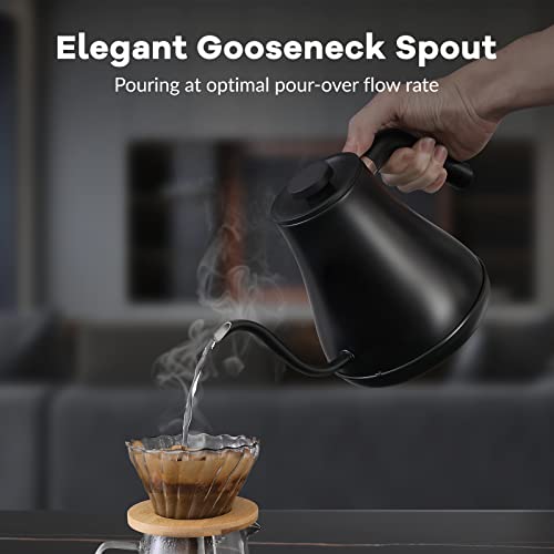 Electric Gooseneck Pour-Over Kettle, 0.8L Stainless Steel with Temp Control