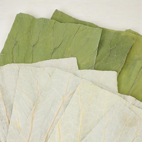 100 Pcs Dried Lotus Leaves for Cooking and Food Wrapping 8x8 Inch