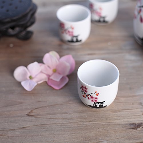 Tosnail Pink Sakura Ceramic Sake Set - 1 Carafe & 4 Cups, Gift Idea