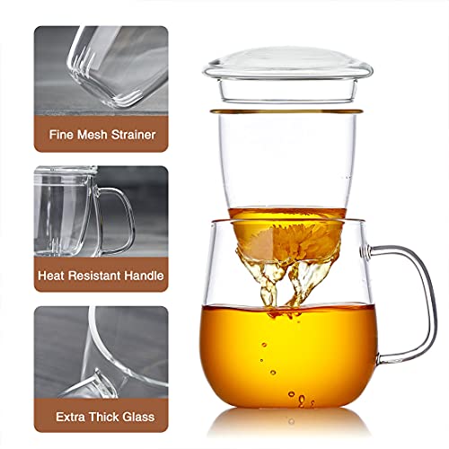 DOPUDO 17.6oz Borosilicate Glass Tea Cup with Infuser & Lid - Microwave Safe