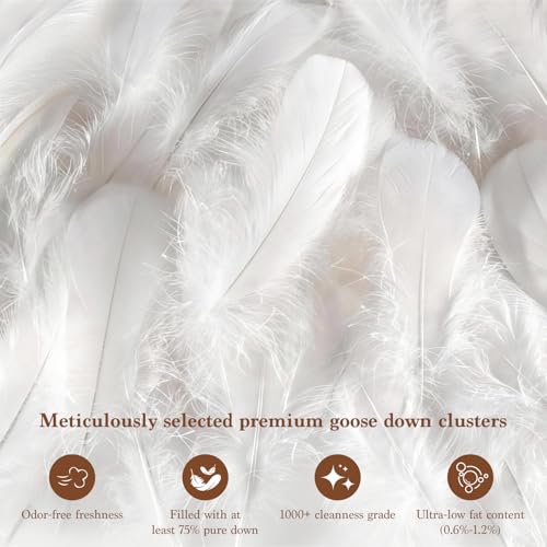 Queen Goose Down Comforter, 850 Fill Power, 600 TC Cotton Cover
