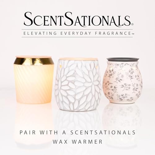 Cedar & Lavender Scented Wax Melts - 24 Cubes, Long-Lasting Home Fragrance