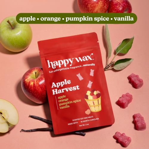 Scented Soy Wax Melts Variety Pack - Cinnamon & Pumpkin Spice, 6oz