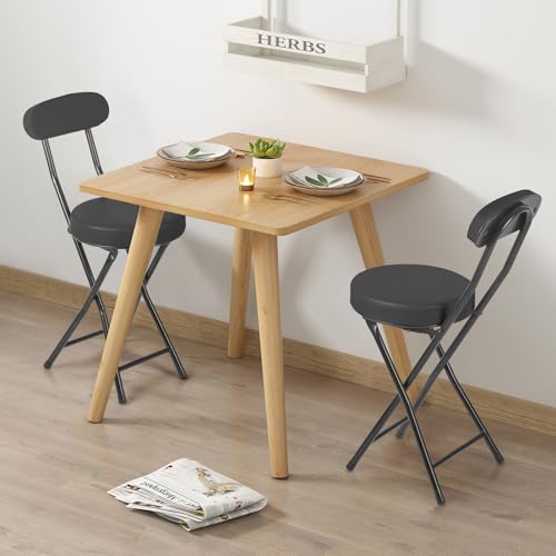 Padded Folding Stool with Backrest, 19-Inch Portable Collapsible Chair, 2 Pack