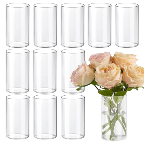 12 Pack Clear Glass Cylinder Vases 6 Inch - Centerpieces for Wedding & Home