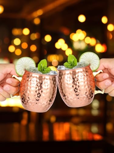 Abizarch 16oz Hammered Copper Moscow Mule Mugs Set of 2 with Gold Handles