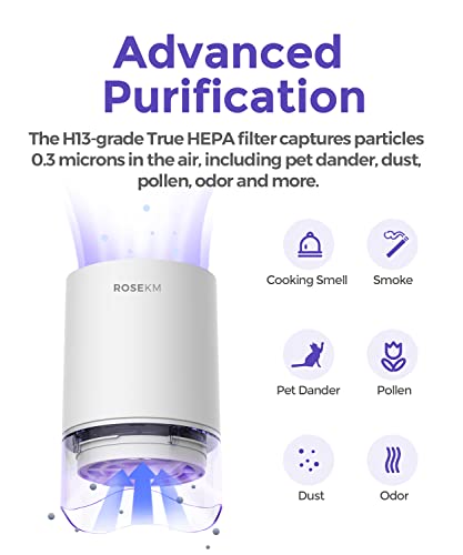 Small True HEPA Air Purifier for Home Bedroom with Aromatherapy Diffuser