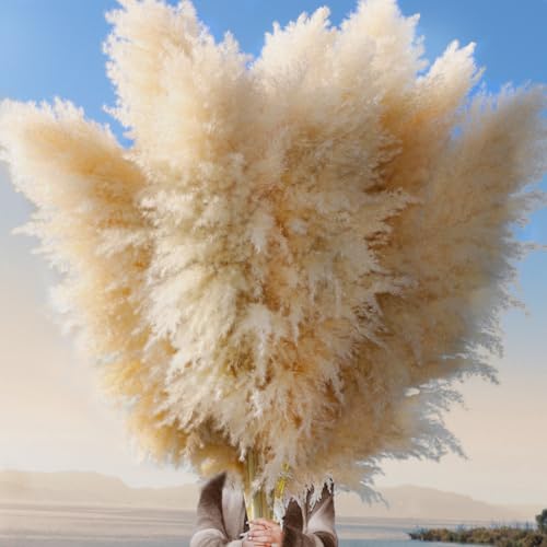 12pcs 40-Inch Dried Pampas Grass Bouquet - Natural Beige Boho Home Decor