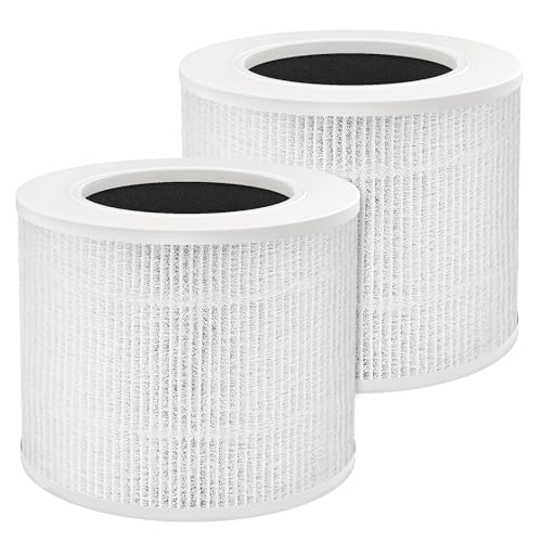 Mini Replacement Filter 2-Pack with True HEPA and Activated Carbon
