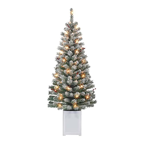 Set of 2 5ft Pre-Lit Flocked Western Spruce Christmas Trees, 169 Tips, 70 Lights