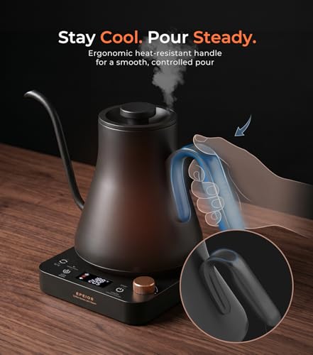 Electric Gooseneck Kettle with Precise Temperature Control, 0.9L Stainless Steel