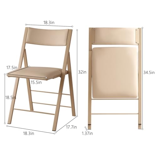 Heavy Duty Padded Folding Chairs - 450lb Capacity Steel Frame, 2 Pack