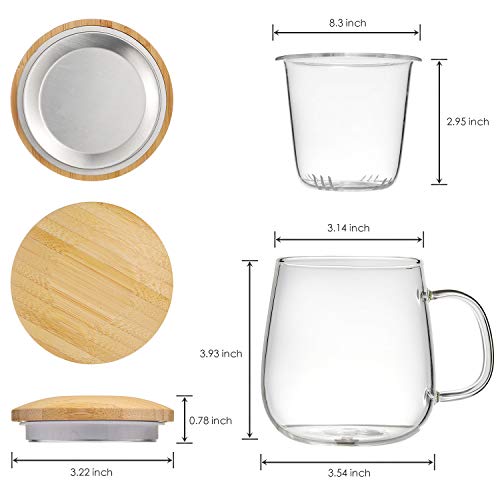 Lezero 15oz Clear Glass Tea Cup with Infuser & Lid - Transparent, Food-Grade Borosilicate Glass