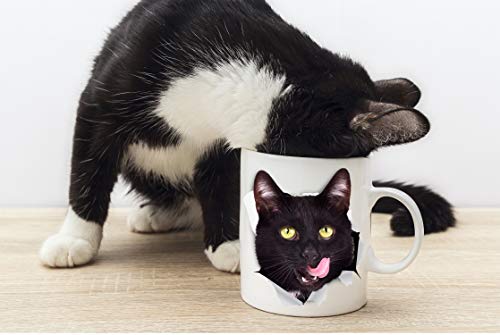 Winston & Bear Thirsty Black Cat Mug - 11oz Ceramic Funny Gift (Hungry Black Cat Variant)