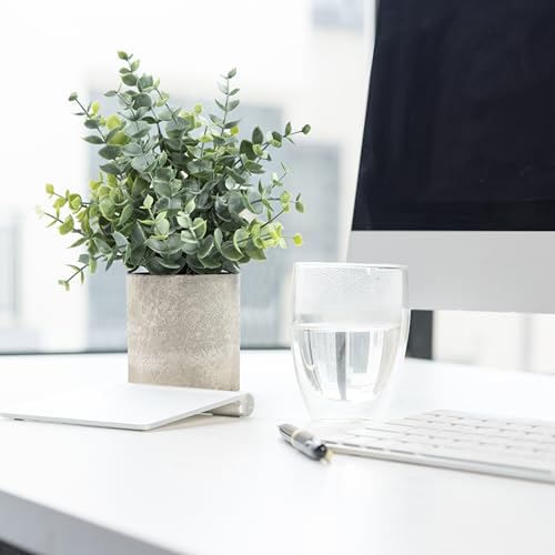 Artificial Potted Eucalyptus Plants (2-Pack) - Small Greenery Decor