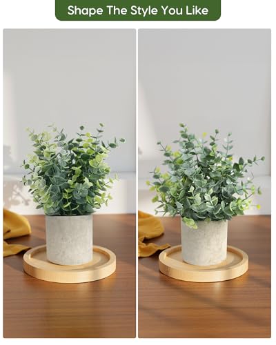 Small Artificial Eucalyptus Plants in Pots - Set of 2 Sage Green Decor