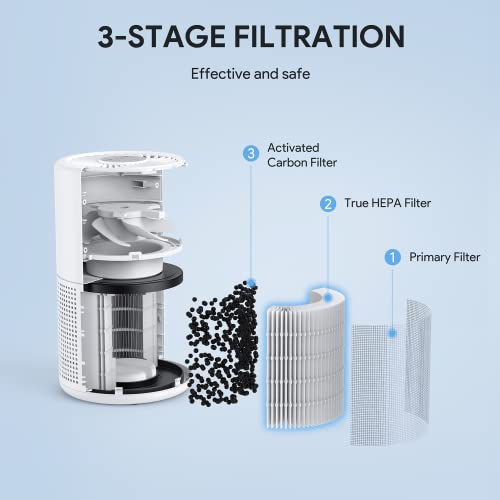 FULMINARE H13 True HEPA Air Purifier for Bedroom, Quiet Small Air Cleaner with Night Light