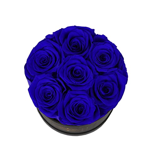 7 Piece Preserved Royal Blue Roses in a Box - Long-Lasting Floral Gift