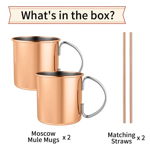 Rose Moscow Mule Copper Mug Set of 2, 15 oz - Hammered Copper Cups with Straws