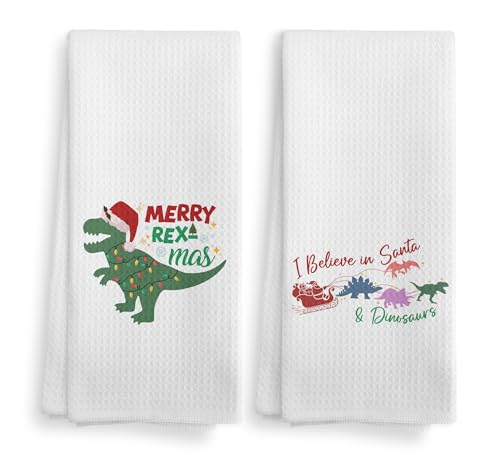 Christmas Dinosaur Kitchen Towels and Dishcloths Set of 2 - Merry Rexmas Santa T Rex Drying Cloths, 16x24 Inch, Home Decor Gift
