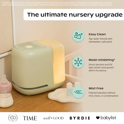 Bedside Humidifier 2.5L with Aroma Diffusion and Sleep Light