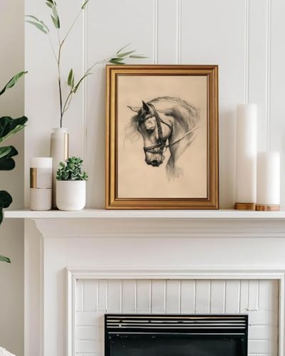 Vintage Horse Sketch Wall Art, 12x16 Gold Framed Animal Canvas Print