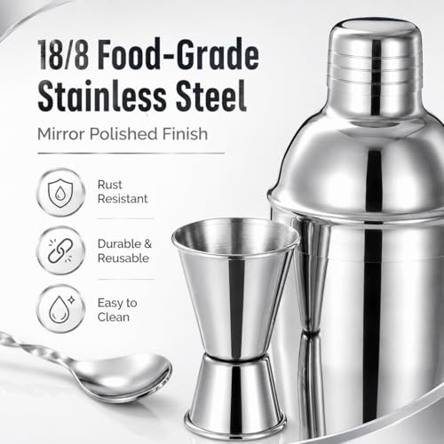 Semderm 6-Piece Stainless Steel Cocktail Shaker Set with Muddler, Jigger & Pourers