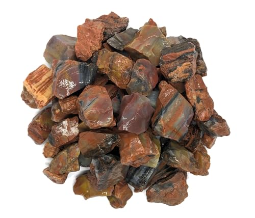 3 lbs Rainbow Petrified Wood Stones, Rough Arizona Natural Mineral Specimens