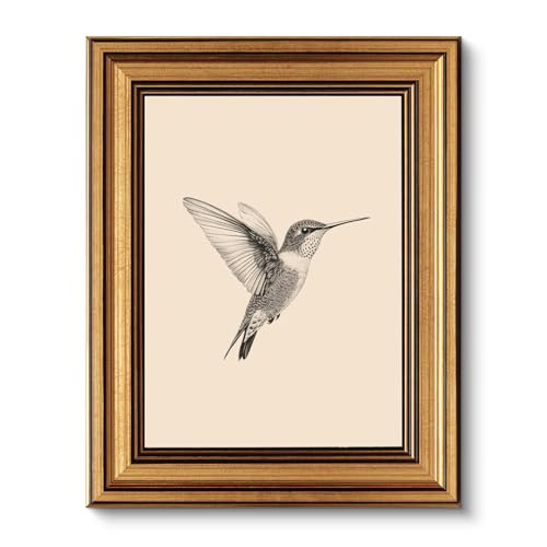 VIYYIEA Vintage Gold Framed Hummingbird Wall Art Sketch 8x10 Inch