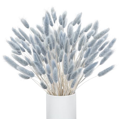 120pcs Blue Bunny Tails Dried Flowers, 16in Natural Lagurus Ovatus Grass