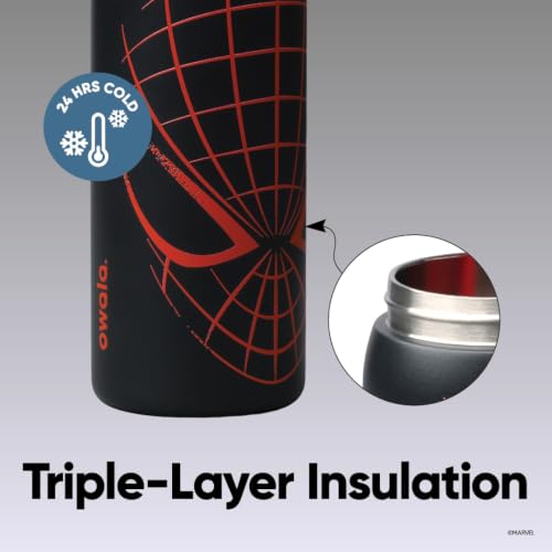 Insulated Stainless Steel Water Bottle with FreeSip Spout 32 oz