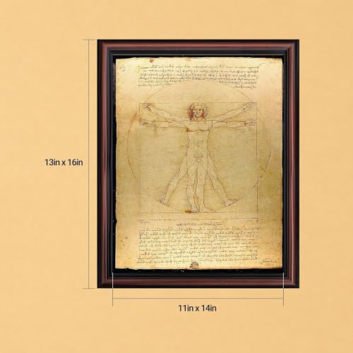 Vitruvian Man Framed Wall Art, 11x14 Renaissance Anatomy Print