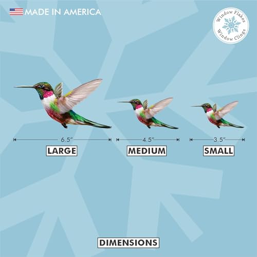 Hummingbird Window Clings - 4-Pack Bird Strike Prevention