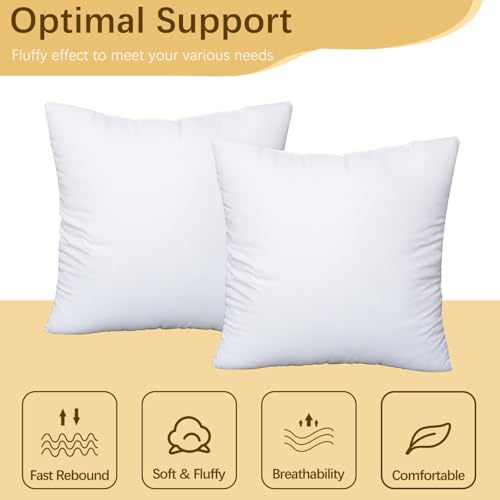 OKBA 22x22 Throw Pillow Inserts Set of 2, 100% Cotton Cover White Decorative