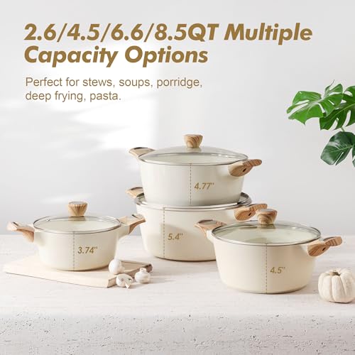 Ceramic Nonstick Stock Pot with Lid, Non-Toxic Induction Cooking Pot